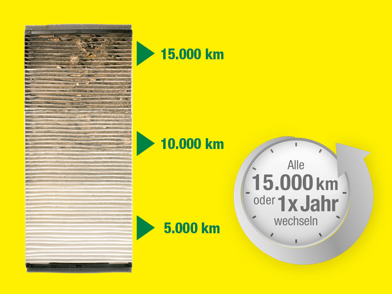 MANN-FILTER CUK 31 003 Innenraumfilter